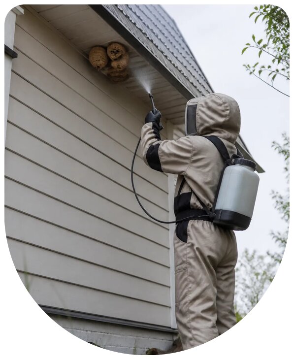 Профессиональная обработка частного дома от ос в Октябрьском